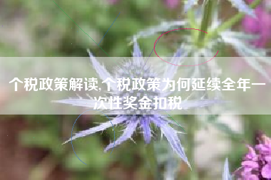 个税政策解读,个税政策为何延续全年一次性奖金扣税