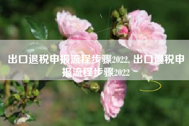 详细阅读:出口退税申报流程步骤2022, 出口退税申报流程步骤2022 出口退税申报流程步骤2022, 出口退税申报流程步骤2022