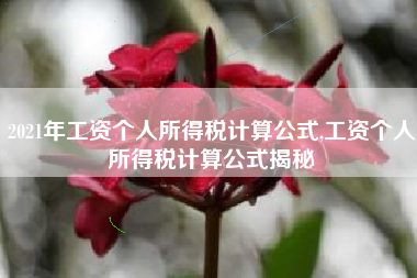 2021年工资个人所得税计算公式,工资个人所得税计算公式揭秘