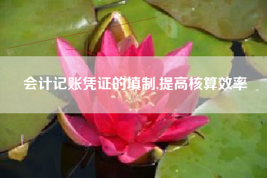 会计记账凭证的填制,提高核算效率