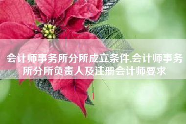 会计师事务所分所成立条件,会计师事务所分所负责人及注册会计师要求