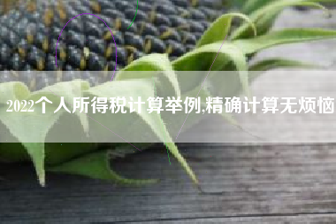 2022个人所得税计算举例,精确计算无烦恼