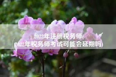 2022年注册税务师(
2022年税务师考试可能会延期吗)