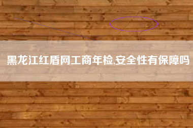 黑龙江红盾网工商年检,安全性有保障吗