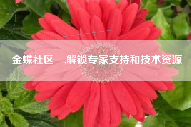 详细阅读:金蝶社区 ,解锁专家支持和技术资源 金蝶社区 ,解锁专家支持和技术资源
