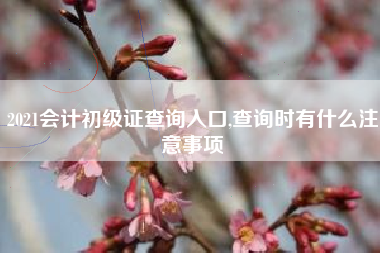 2021会计初级证查询入口,查询时有什么注意事项