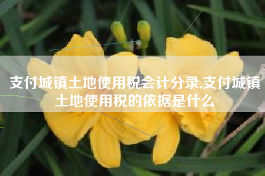 详细阅读:支付城镇土地使用税会计分录,支付城镇土地使用税的依据是什么 支付城镇土地使用税会计分录,支付城镇土地使用税的依据是什么