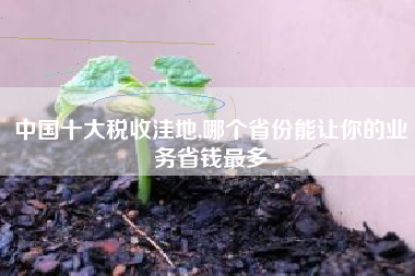 详细阅读:中国十大税收洼地,哪个省份能让你的业务省钱最多 中国十大税收洼地,哪个省份能让你的业务省钱最多