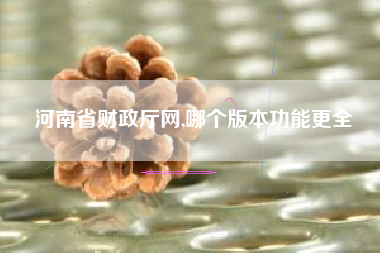 河南省财政厅网,哪个版本功能更全
