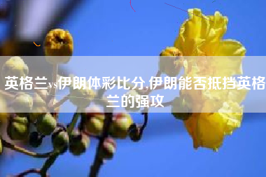 英格兰vs伊朗体彩比分,伊朗能否抵挡英格兰的强攻