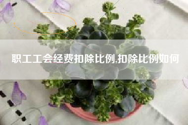 职工工会经费扣除比例,扣除比例如何