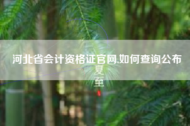 详细阅读:河北省会计资格证官网,如何查询公布 河北省会计资格证官网,如何查询公布