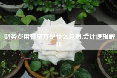 财务费用在贷方是什么意思,会计逻辑解析