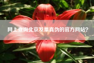 网上查询北京发票真伪的官方网站？