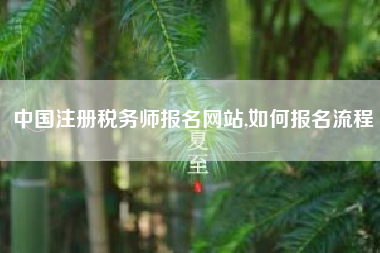 中国注册税务师报名网站,如何报名流程