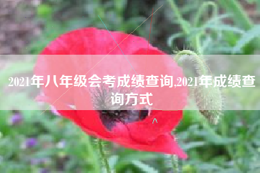 2021年八年级会考成绩查询,2021年成绩查询方式