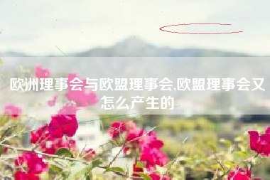 欧洲理事会与欧盟理事会,欧盟理事会又怎么产生的