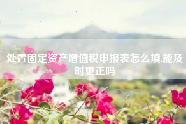 处置固定资产增值税申报表怎么填,能及时更正吗