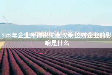 2022年企业所得税优惠政策,这对企业的影响是什么