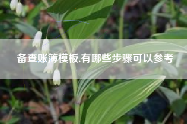 备查账簿模板,有哪些步骤可以参考