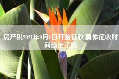 房产税2021年9月1日开始征收,具体征收时间确定了吗