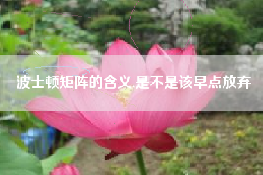 波士顿矩阵的含义,是不是该早点放弃