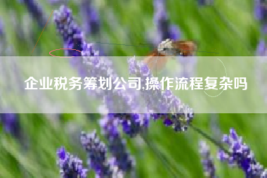 企业税务筹划公司,操作流程复杂吗