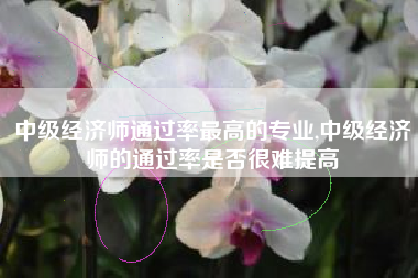 中级经济师通过率最高的专业,中级经济师的通过率是否很难提高