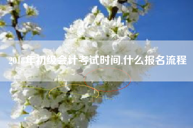 2018年初级会计考试时间,什么报名流程