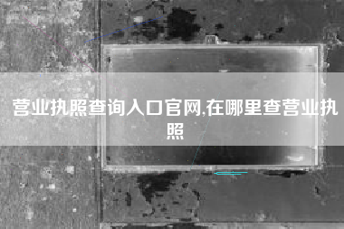 营业执照查询入口官网,在哪里查营业执照