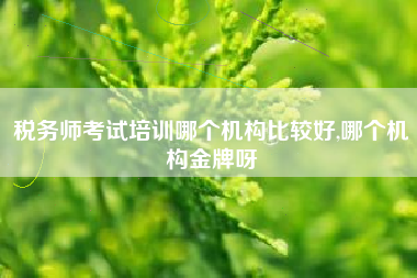 税务师考试培训哪个机构比较好,哪个机构金牌呀