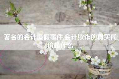 著名的会计造假事件,会计欺诈的真实代价是什么