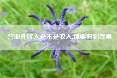 营业外收入是不是收入,那要归到哪里