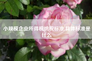 小规模企业所得税纳税标准,具体标准是什么
