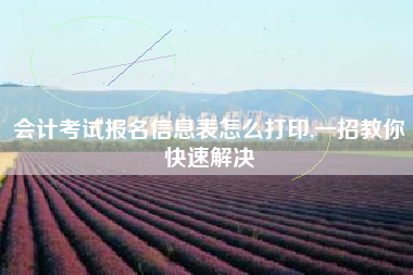 详细阅读:会计考试报名信息表怎么打印,一招教你快速解决 会计考试报名信息表怎么打印,一招教你快速解决