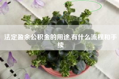 法定盈余公积金的用途,有什么流程和手续