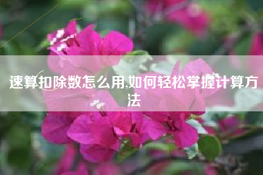 速算扣除数怎么用,如何轻松掌握计算方法