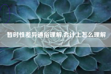 暂时性差异通俗理解,会计上怎么理解