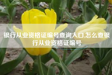 银行从业资格证编号查询入口,怎么查银行从业资格证编号