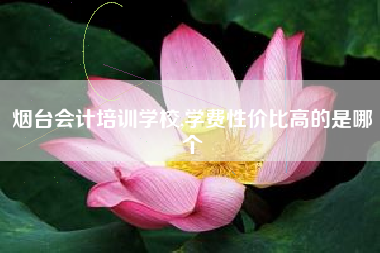 烟台会计培训学校,学费性价比高的是哪个