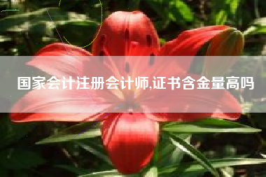 国家会计注册会计师,证书含金量高吗
