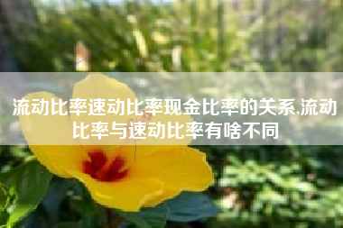 流动比率速动比率现金比率的关系,流动比率与速动比率有啥不同