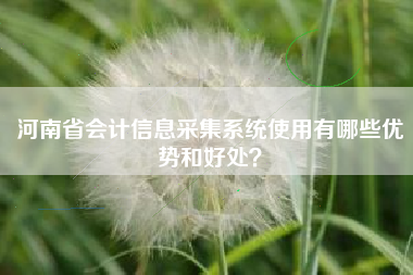 河南省会计信息采集系统使用有哪些优势和好处？
