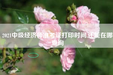 2021中级经济师准考证打印时间,还能在哪查询