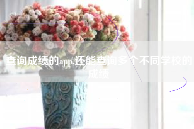查询成绩的app,还能查询多个不同学校的成绩