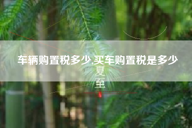 车辆购置税多少,买车购置税是多少
