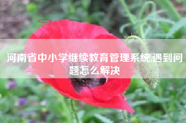 河南省中小学继续教育管理系统,遇到问题怎么解决