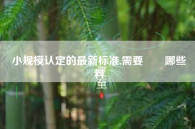 小规模认定的最新标准,需要準備哪些資料