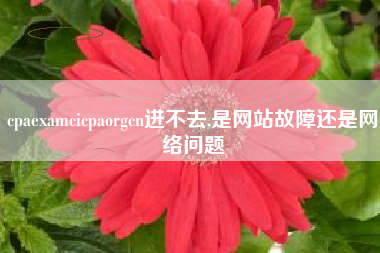 cpaexamcicpaorgcn进不去,是网站故障还是网络问题