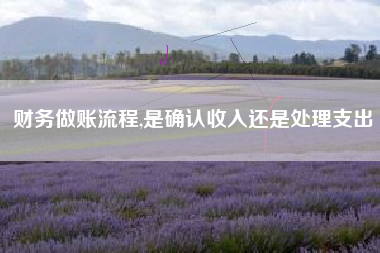 财务做账流程,是确认收入还是处理支出